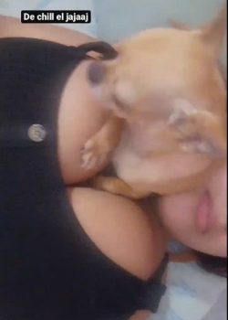 Que envidia le tengo al perro! 8
