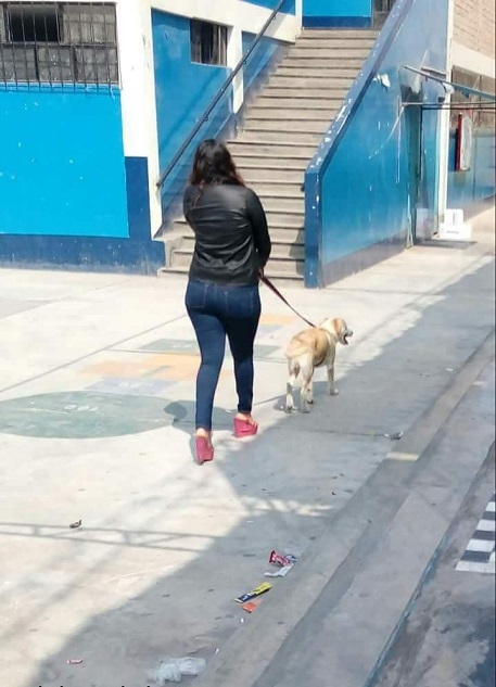 Me la ligue mientras paseaba el perro, ahora me manda nudes-videos 10
